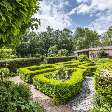 Gartenanlage Gartenanlage