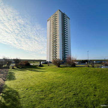 Gartenfläche Gartenfläche