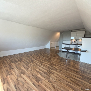 Küche und Wohnzimmer WHG 8 Küche und Wohnzimmer WHG 8
