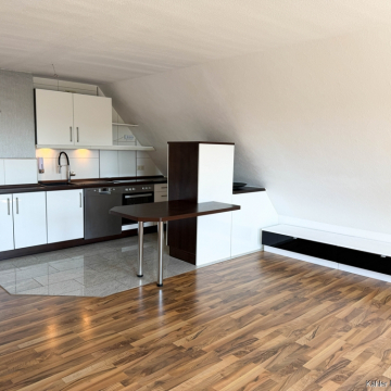 Küche und Wohnzimmer WHG 8 Küche und Wohnzimmer WHG 8