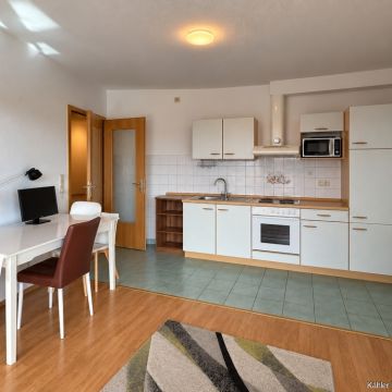 Wohn-/ Esszimmer